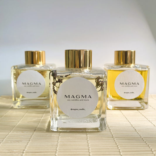 Αρωματικό Χώρου με Ξυλάκια 100ml