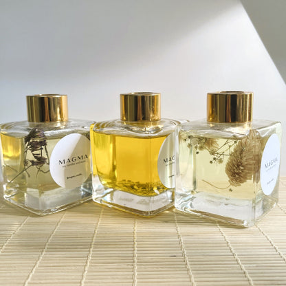 Αρωματικό Χώρου με Ξυλάκια 100ml