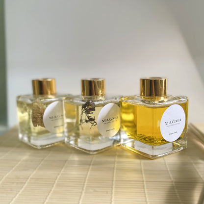 Αρωματικό Χώρου με Ξυλάκια 100ml