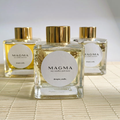 Αρωματικό Χώρου με Ξυλάκια 100ml